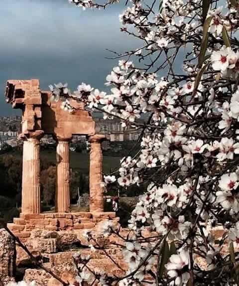Bed and Breakfast Alfa Quadro Agrigento Exterior foto