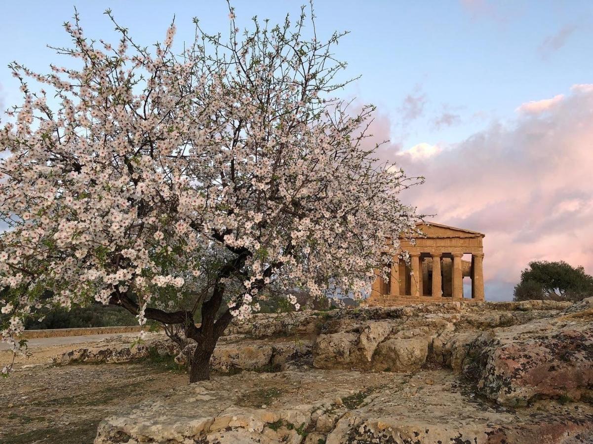 Bed and Breakfast Alfa Quadro Agrigento Exterior foto
